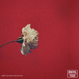 Beautiful LAMB CULTURE.