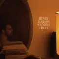 Witness Trees