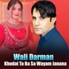 Khudai Ta Ba Sa Wayam Janana - EP