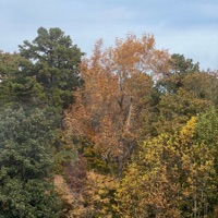 Inner Thoughts - Single - R9MI