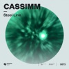 Steel Line cover art
