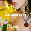Kungs, David Guetta & Izzy Bizu - All Night Long kunstwerk
