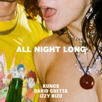 Kungs & David Guetta & Izzy Bizu - All Night Long