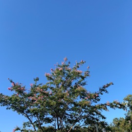 Off Track (feat. Aftrr!) vmdarius