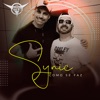 Como Se Faz (feat. synic) - Single