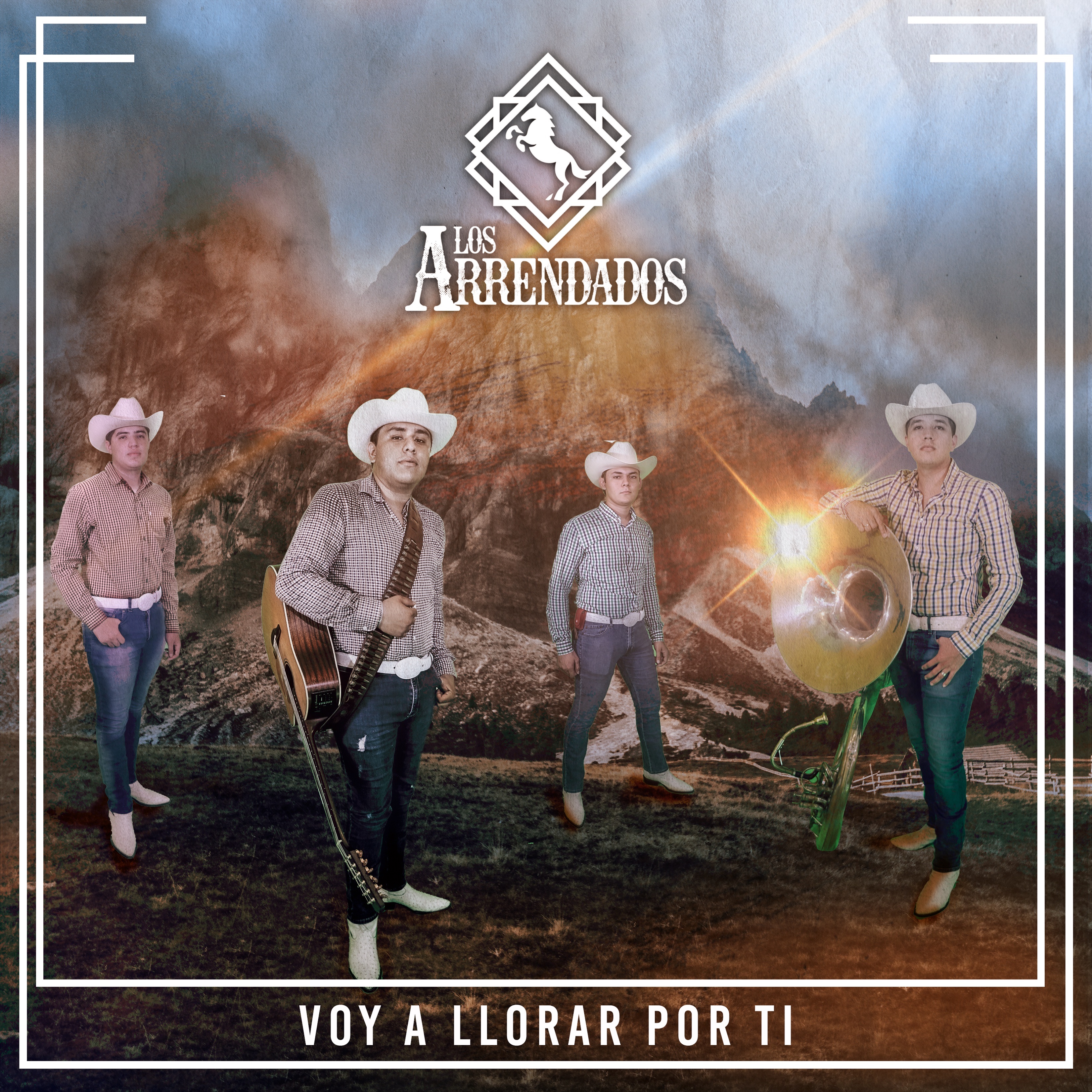 Voy a Llorar por Ti - Single