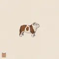 Nugget