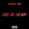 Now Or Never - EP