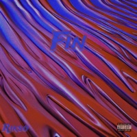 Fin - EP - Rikso