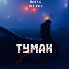 Туман MirON42 & WANTARAM