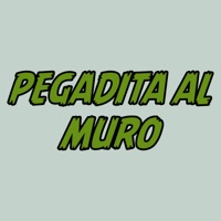 Pegadita al Muro - Single - jl pa