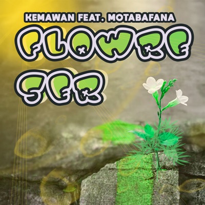 Flowre Ser (Remix) [feat. Motabafana] - Single