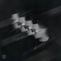 The Bass