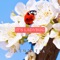 It's Ladybug (feat. PrinceWhateverer) - EileMonty lyrics