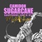 Camidoh Sugacane - Mizter Okyere lyrics