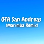 GTA San Andreas (Marimba Version) artwork