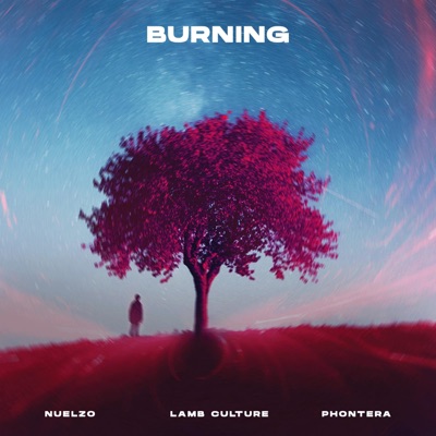 Burning - Single