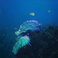 Sixty - EP - Shudipon