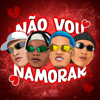 DJ Ws da Igrejinha, DJ JOAO PEREIRA, Mc Dudu Sk, MC TH DA SERRA & DaLama - Não Vou Namorar  arte