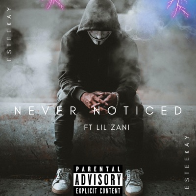 Never Noticed (feat. Lil Zani X) - Single