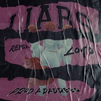 Liars - Single - Loto