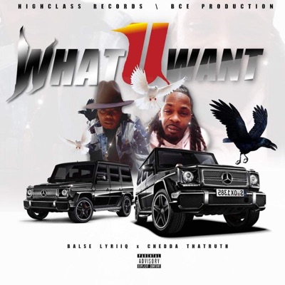 What You Want (feat. Cheddathatruth) - Single