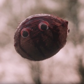 That's Not Your Patrick Brian Metolius