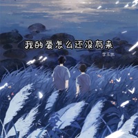 我的爱怎么还没有来 - Single - 李玉凯
