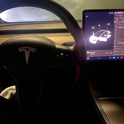 Young Nigga Neva Fold - EP