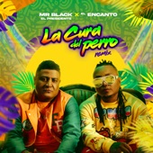 La Cura del Perro (Remix) artwork