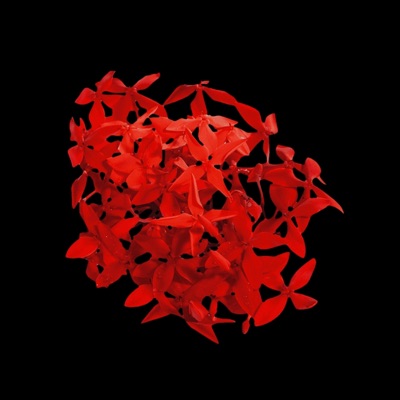 wanneer ben je van mij? - Single