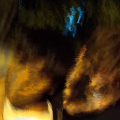 Everyday Scratch - Single