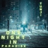 One Night In Paradise