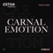 Carnal Emotion (Fehrplay Extended Remix) artwork