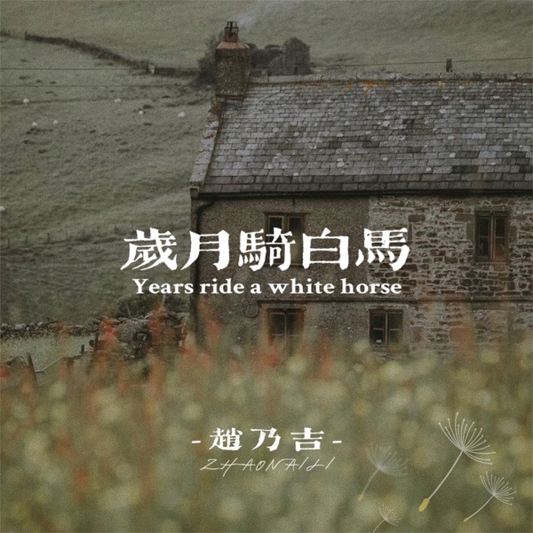 岁月骑白马 - Single