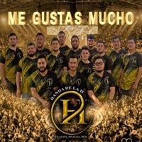 Me Gustas Mucho (En vivo) - Single - Banda de la H