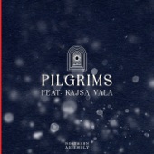Pilgrims (feat. Kajsa Vala) artwork