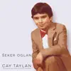 Stream & download Seker Oglan (feat. Stuart Freeman & Aziz Erol) - Single