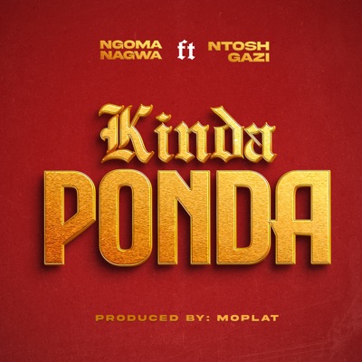 Kindaponda (feat. Ntosh Gazi) - Single