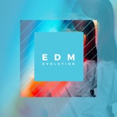 Edm Festival Anthem 02 artwork