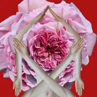 House 13 — Perfumed Head