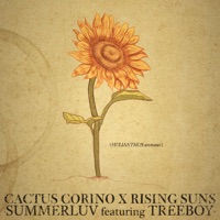 Summerluv (feat. Treeboy) - Single - Cactus Corino & Rising Suns