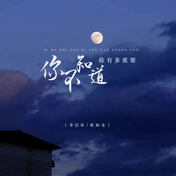 你不知道你有多重要 - Single