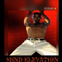 MiND ELEVATiON (feat. Scotty Boy) [the Unfinished Business Edition] - Single - PLEZHUR