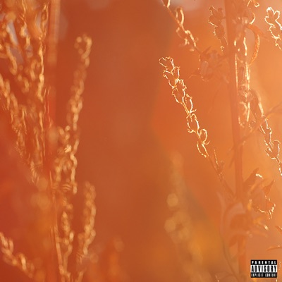 Molnfritt Freestyle - Single