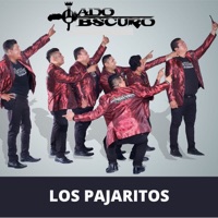 Los Pajaritos - Single - Lado Obscuro