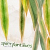 Spider Plant Blues - Single