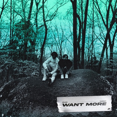 Want More - Single