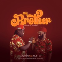 My Brother (A letter to ndi igbo) (feat. Mr C-jay) - Single - Anyidons