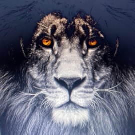 Anoti (Burna Boy Theme) Automaticbeats